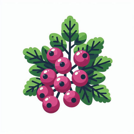 Christmas holly berry isolated on white background. Vector illustration.のイラスト素材