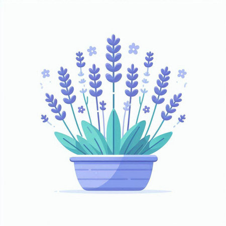 Flowerpot with lavender. Vector illustration in flat style.のイラスト素材