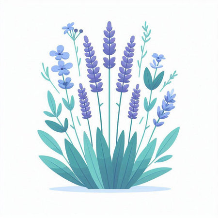 Lavender flowers on white background. Hand drawn vector illustration.のイラスト素材