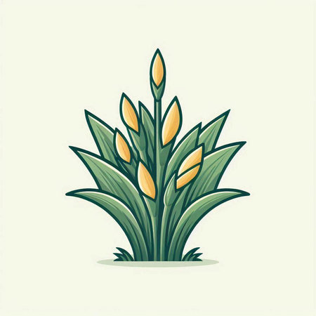 Illustration of a rice plant with green leaves. Vector illustration.のイラスト素材