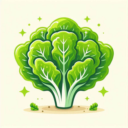 Illustration of green fresh lettuce on the ground. Vector illustration.のイラスト素材