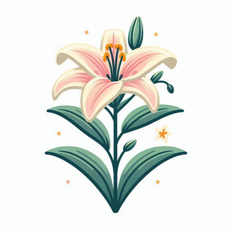 Lily flower vector illustration isolated on white background. Vector illustration.のイラスト素材