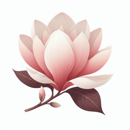 Magnolia flower with leaves on a white background, vector illustration.のイラスト素材