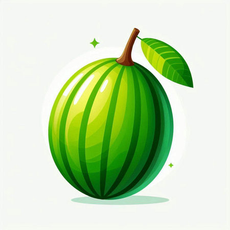 Fruit watermelon with green leaves on a white background. Vector illustration.のイラスト素材