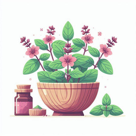 Flowerpot with herbs and essential oil bottle. Vector illustration.のイラスト素材