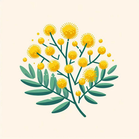 Branch of mimosa flowers with leaves. Hand drawn vector illustration.のイラスト素材