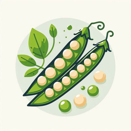 Peas with leaves and pods. Vector illustration in flat style.のイラスト素材