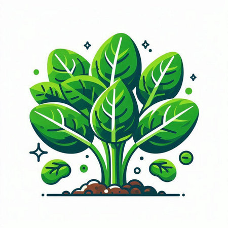 Vegetable icon. Vector illustration of a green leafy plant.のイラスト素材