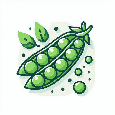 Green peas with leaves on white background. Vector illustration in cartoon style.のイラスト素材