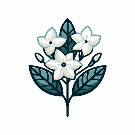 Hand drawn vector illustration of white jasmine flowers isolated on white background.のイラスト素材