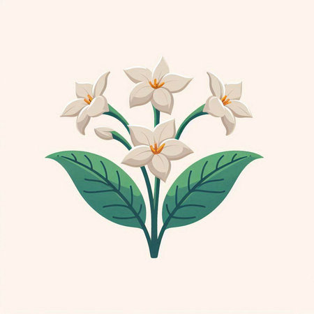 Illustration of a white flower with green leaves. Vector illustration.のイラスト素材