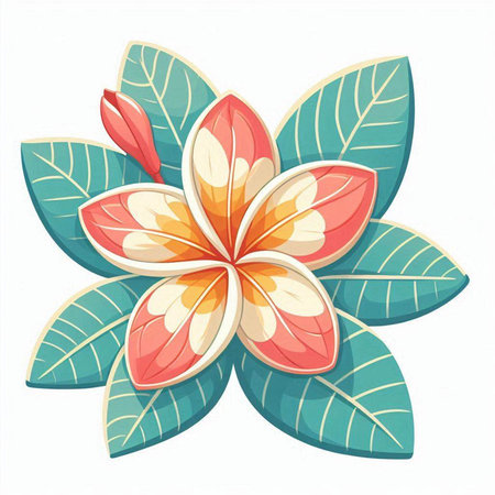 Frangipani flower with leaves isolated on white background. Vector illustration.のイラスト素材