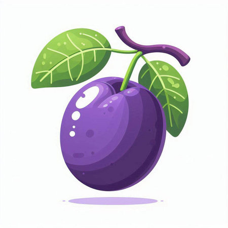 Vector illustration of ripe plum on a white background. Fresh fruit.のイラスト素材