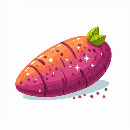 Sweet potato vector illustration isolated on white background. Sweet potato vector illustration.のイラスト素材