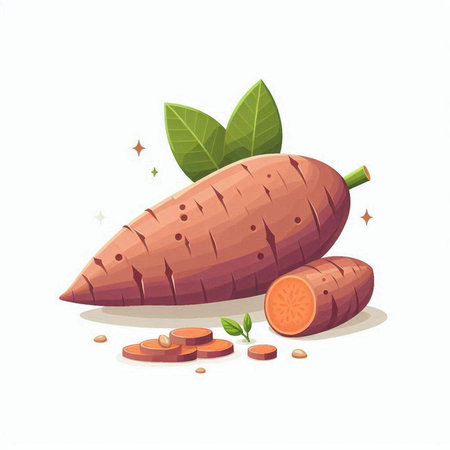 Sweet potato vector illustration. Fresh sweet potato isolated on white background.のイラスト素材