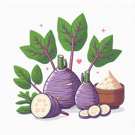 Vegetable and Herb, Vector Illustration of Root Vegetablesのイラスト素材