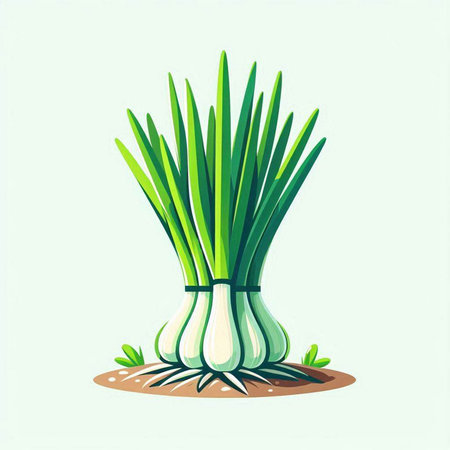 Onion. Vector illustration of a bunch of green onions on the ground.のイラスト素材