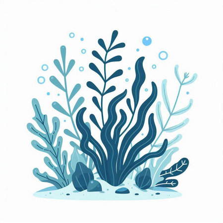 Underwater world. Hand drawn vector illustration of algae and seaweed.のイラスト素材