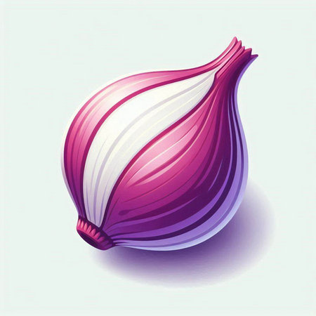 Illustration of red onion on a white background. Vector illustration.のイラスト素材