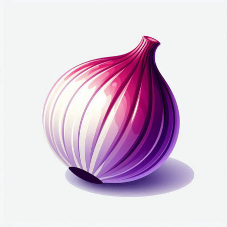 Vector illustration of a purple onion on a white background with shadow.のイラスト素材