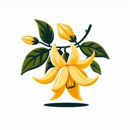 Bunch of yellow flowers on a white background. Vector illustration.のイラスト素材
