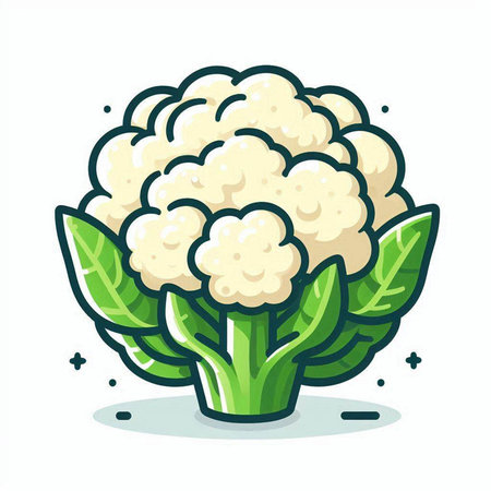 Cauliflower vector illustration. Cauliflower icon. Cauliflower icon. Cauliflower icon. Cauliflower icon. Cauliflower icon. Cauliflower icon. Cauliflower icon. Cauliflower icon. Cauliflower icon. Cauliflower icon. Cauliflower icon. Cauliflower iconのイラスト素材