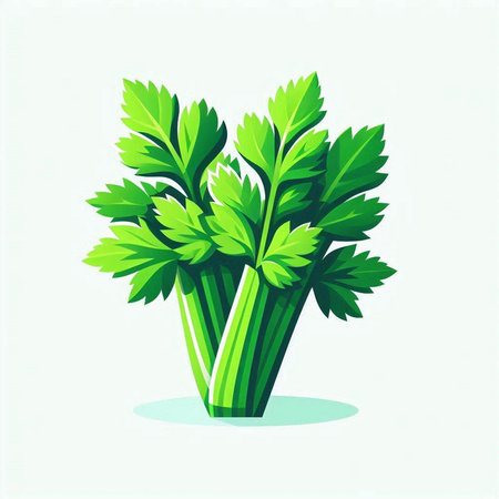 parsley isolated on white background. vector illustration. Eps 10のイラスト素材