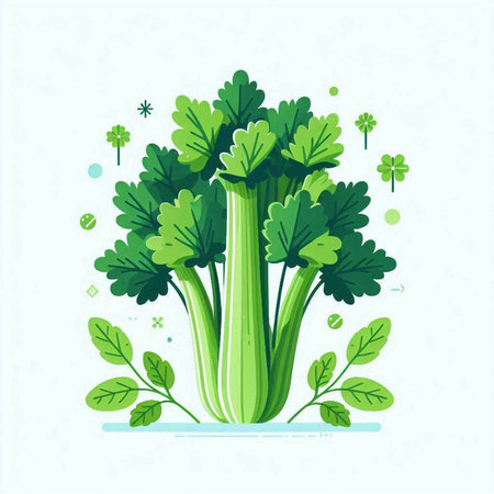Celery, parsley, celery. Vector illustration.のイラスト素材