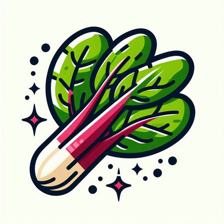 Bunch of fresh green chard in cartoon style. Vector illustration.のイラスト素材