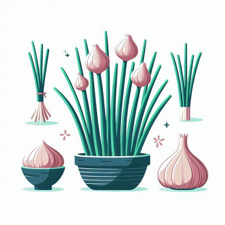 Illustration of Onion and Garlic in Flowerpot on White Backgroundのイラスト素材
