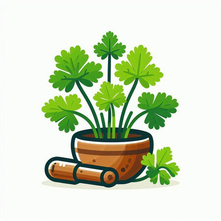 Parsley in a pot isolated on white background. Vector illustration.のイラスト素材