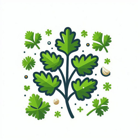 Green parsley and garlic. Vector illustration isolated on white background.のイラスト素材