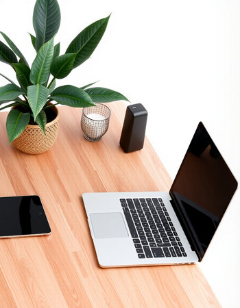 Laptop, smartphone and plant on wooden desk isolated on white backgroundの写真素材