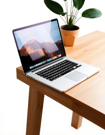 Laptop on a wooden table with a white background and a plant