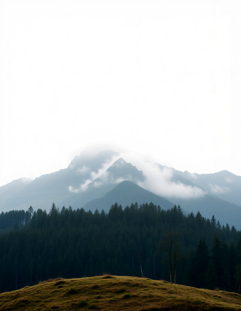 Mountain landscape with fog in the morning. Composition of nature.