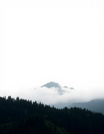 Mountain landscape with fog in the foreground and copyspace.の写真素材