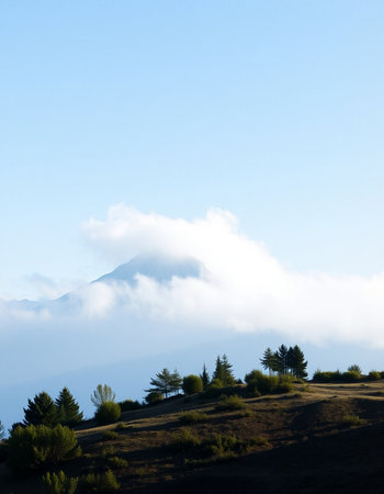 Mountains in the clouds on a sunny day. Landscape.