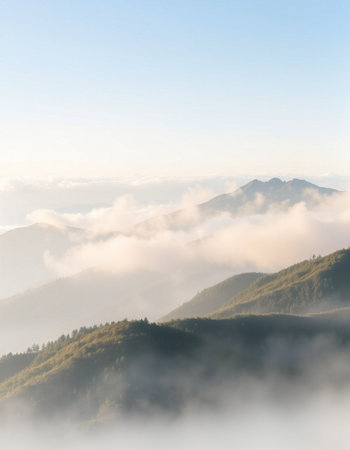 Morning fog in the Carpathian mountains. Ukraine, Europe.