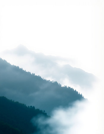 Foggy mountain landscape in the morning. Beautiful natural background.の写真素材