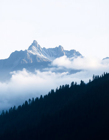 Mountain landscape with fog in the alps