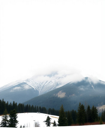 Winter landscape with snow covered mountains and coniferous forest in the background