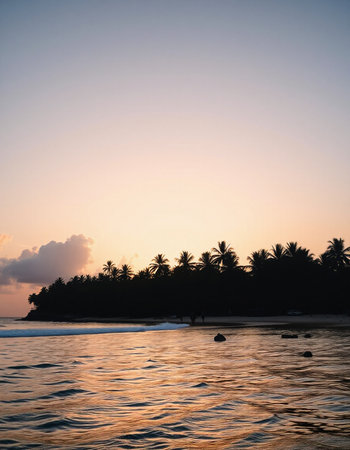 Tropical island with palm trees at sunset, Seychellesの写真素材