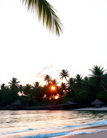 Beautiful sunset at the beach with palm trees, Maldives.の写真素材