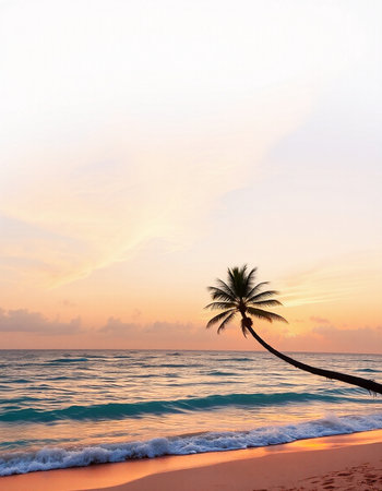 Coconut palm tree on tropical beach at beautiful sunset time.の写真素材