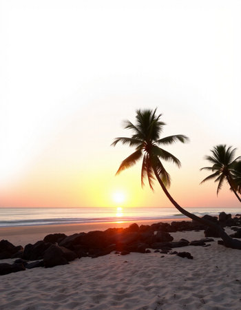 Beautiful tropical beach and sea with coconut palm tree at sunset time - Holiday Vacation concept