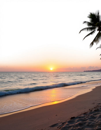 Sunset on the beach with palm trees. Beautiful sunset over the sea.