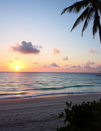 Tropical beach with palm trees at sunset, Seychelles