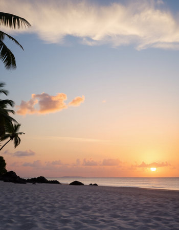Sunset on the beach with palm trees and sand. Seychellesの写真素材