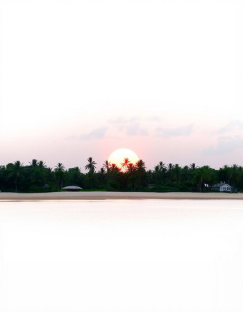 Sunset on the beach with palm trees in the background, Maldivesの写真素材