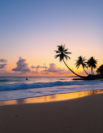 Palm trees on a tropical beach at sunset, Seychellesの写真素材